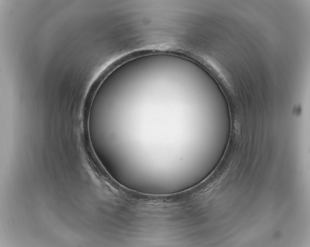 X0000094170532200710260911