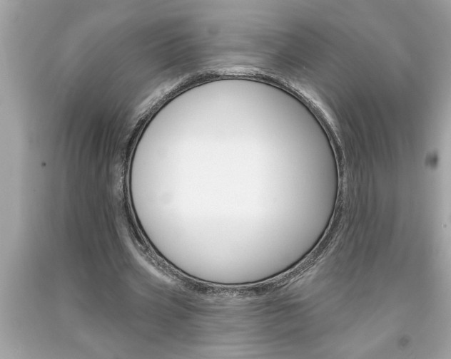 X0000094170533200710260911