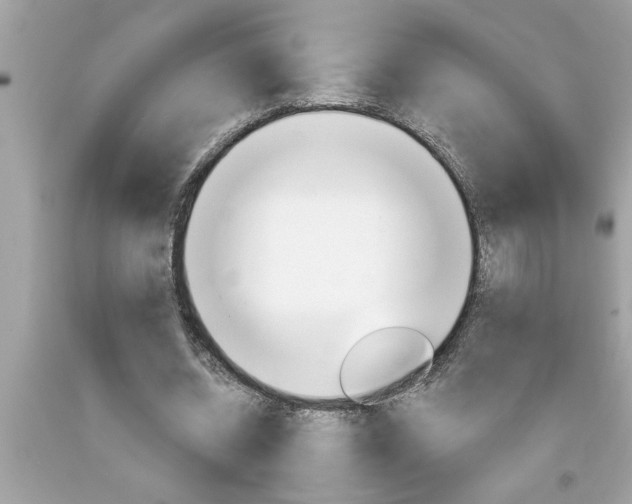 X0000094170534200710260911