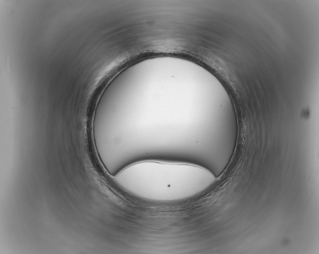 X0000094170535200710260911