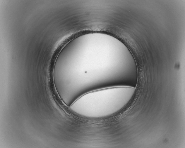 X0000094170536200710260911