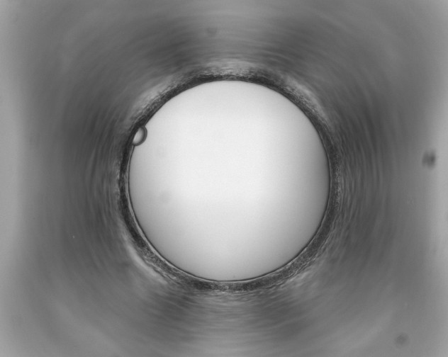 X0000094170538200710260911