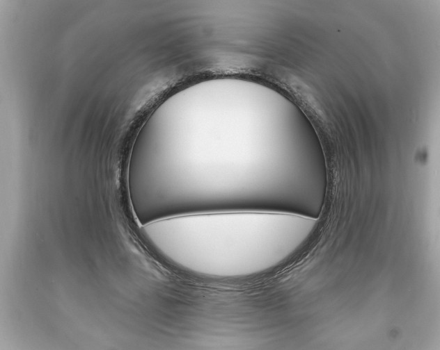 X0000094170539200710260911