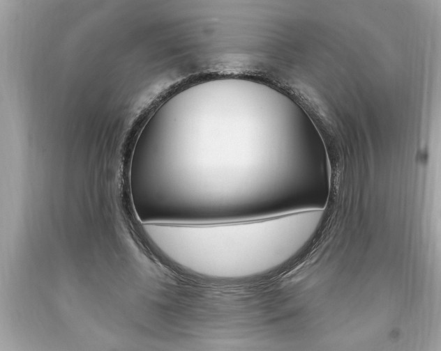 X0000094170540200710260911