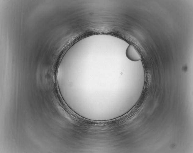 X0000094170541200710260911