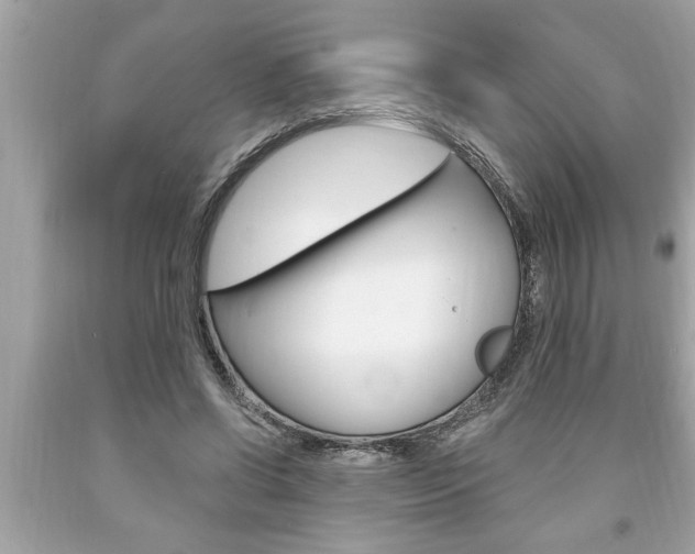 X0000094170542200710260911