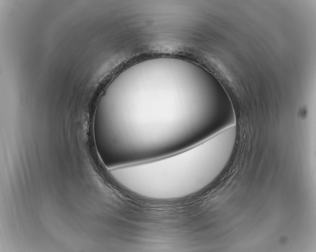 X0000094170544200710260911