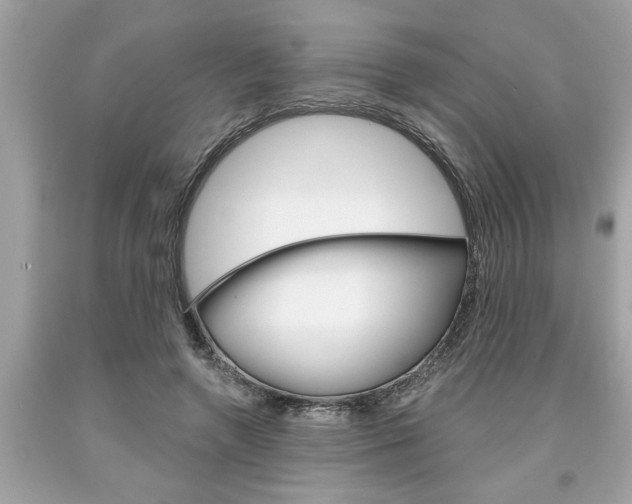 X0000094170546200710260911