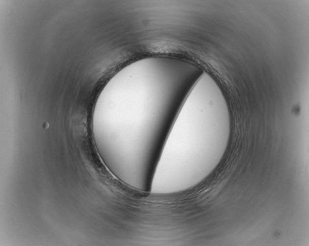 X0000094170547200710260911