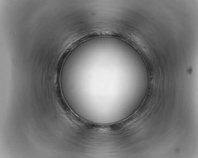 X0000094170548200710260911