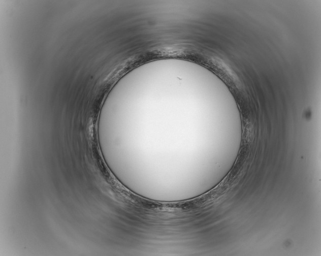 X0000094170549200710260911
