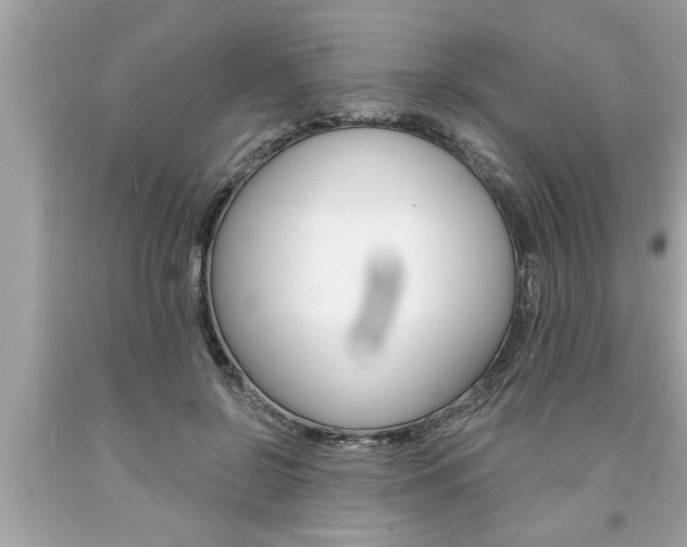 X0000094170550200710260911