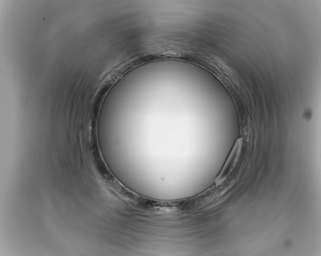 X0000094170552200710260911