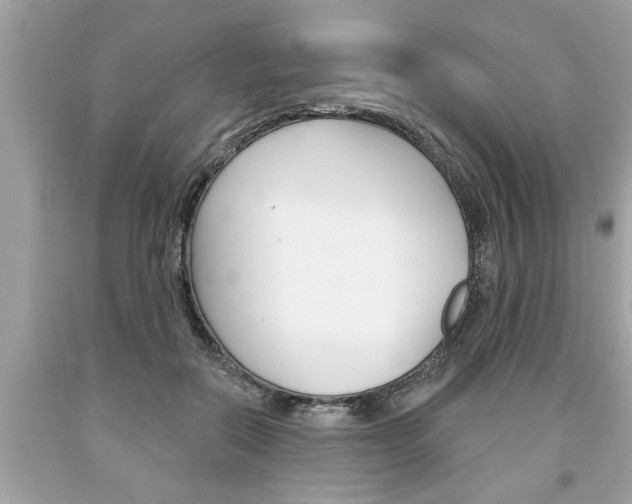 X0000094170554200710260911
