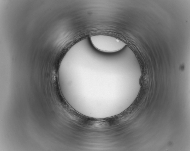 X0000094170555200710260911