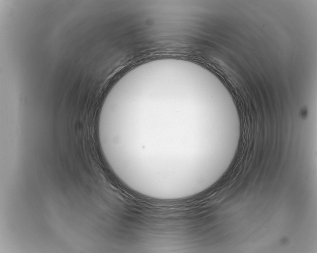 X0000094170556200710260911
