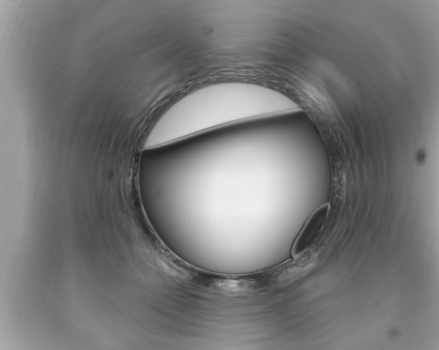 X0000094170558200710260911