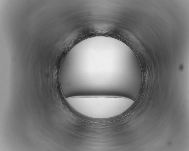 X0000094170559200710260911