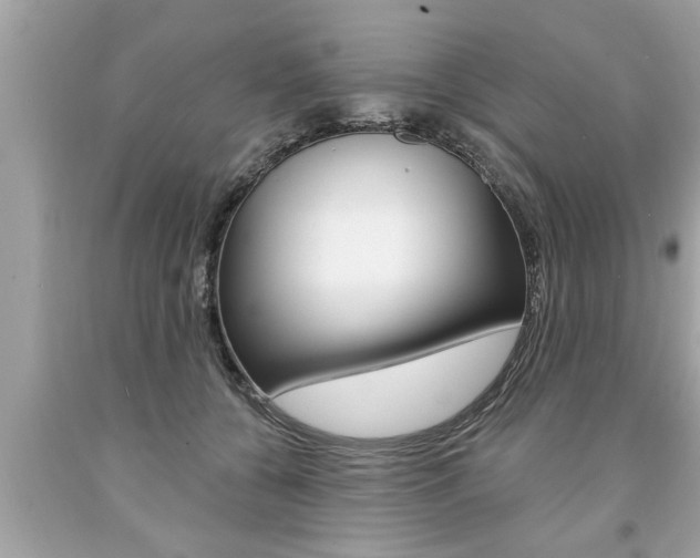 X0000094170560200710260911