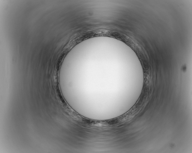 X0000094170561200710260911