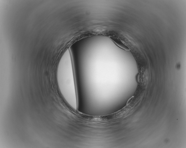 X0000094170562200710260911