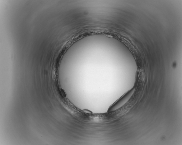 X0000094170564200710260911