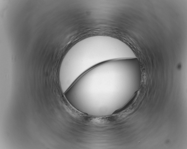 X0000094170568200710260911