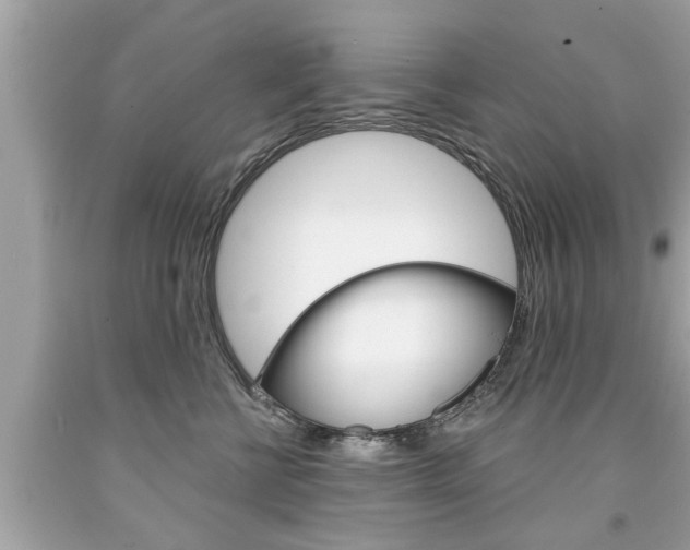 X0000094170570200710260911