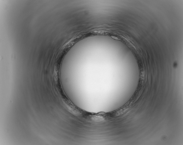 X0000094170572200710260912