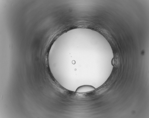 X0000094170573200710260912