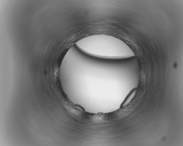 X0000094170574200710260912