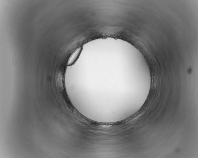 X0000094170575200710260912
