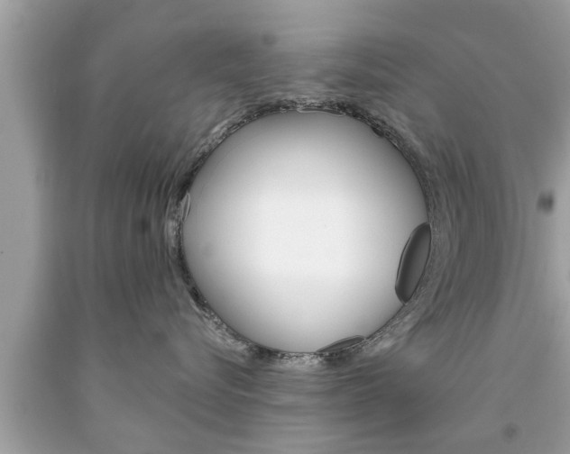 X0000094170576200710260912