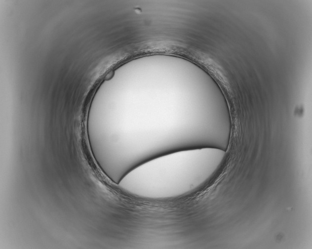 X0000094170578200710260911