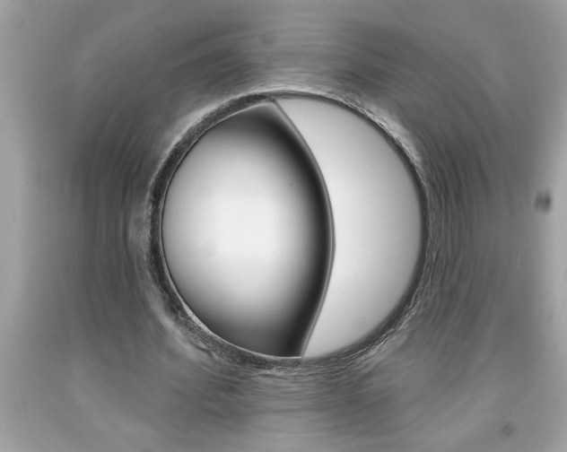 X0000094170580200710260911