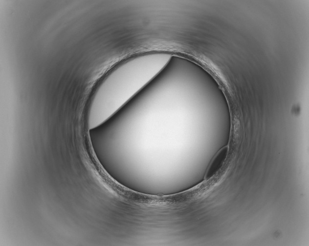X0000094170581200710260911