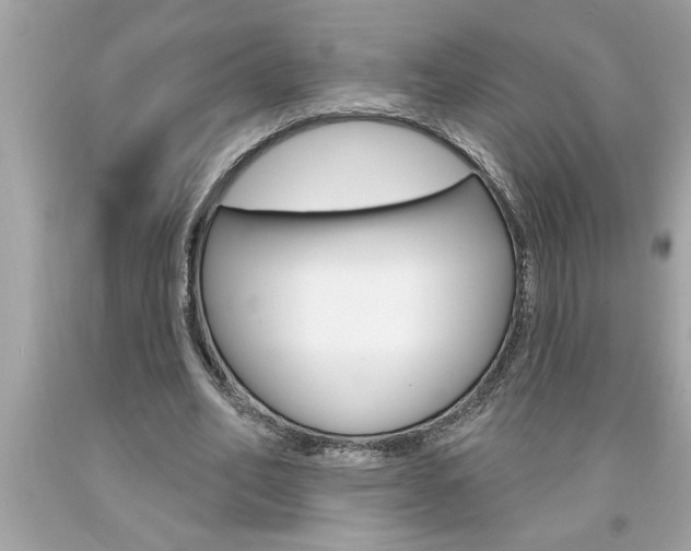 X0000094170582200710260911
