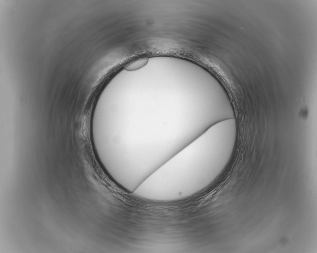 X0000094170583200710260911