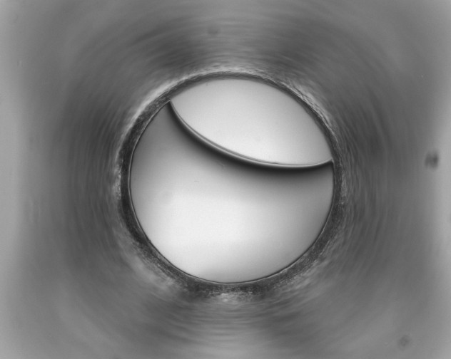 X0000094170584200710260911