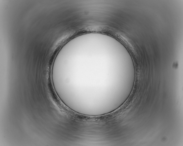 X0000094170586200710260911
