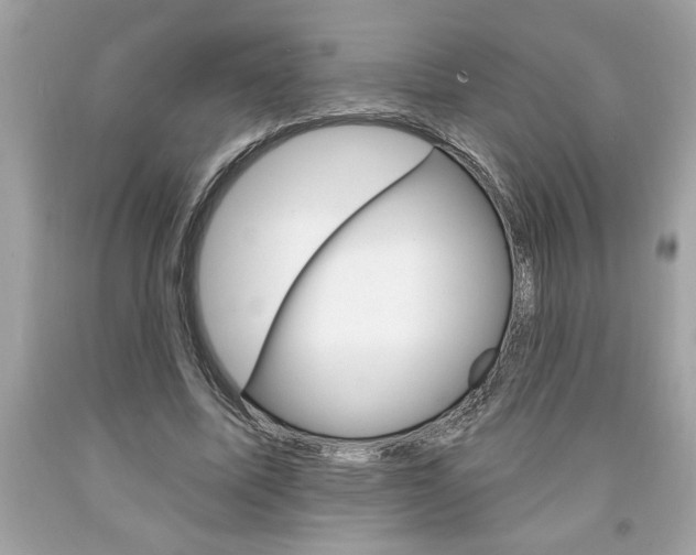 X0000094170587200710260911