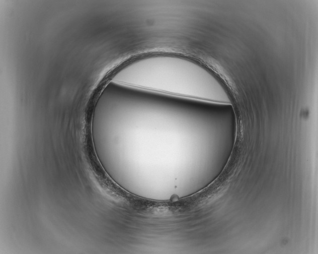 X0000094170588200710260911