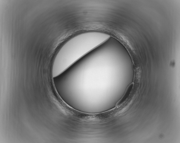 X0000094170589200710260911