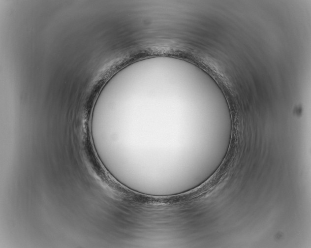 X0000094170590200710260911