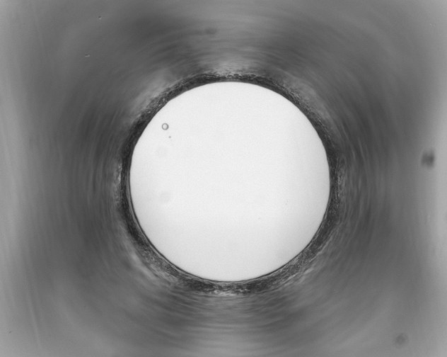 X0000094170592200710260911