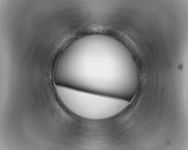 X0000094170593200710260911