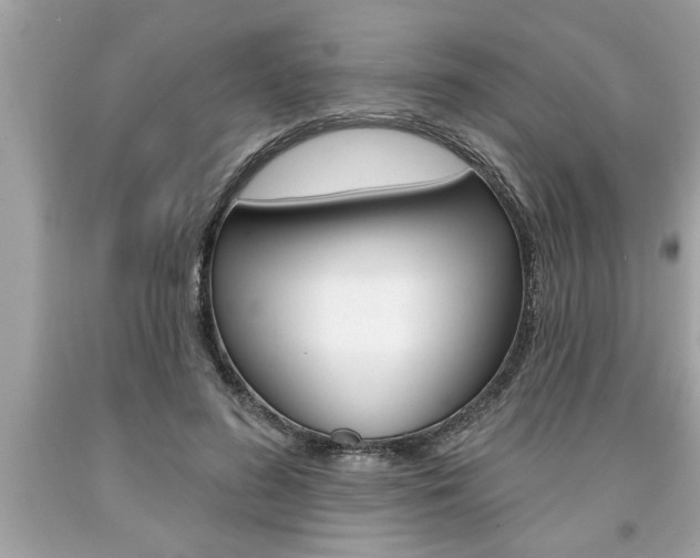 X0000094170596200710260911