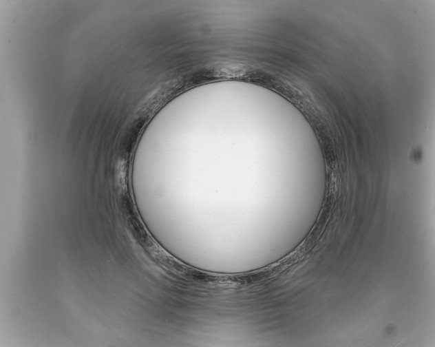 X0000094170598200710260911