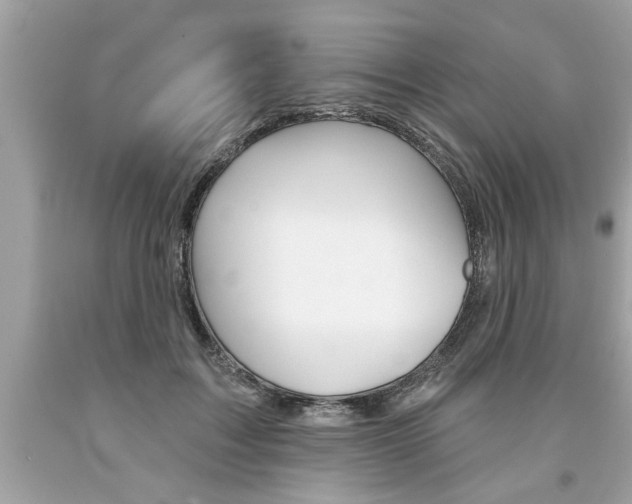 X0000094170603200710260911