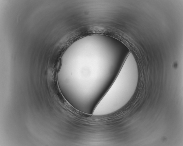 X0000094170604200710260911